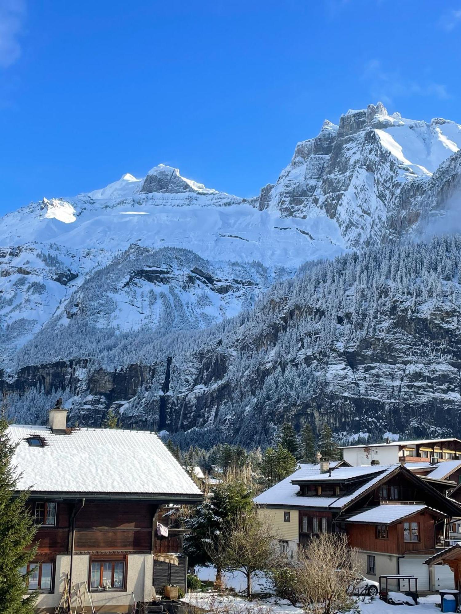 Swiss Alps Lodge Kandersteg Eksteriør bilde